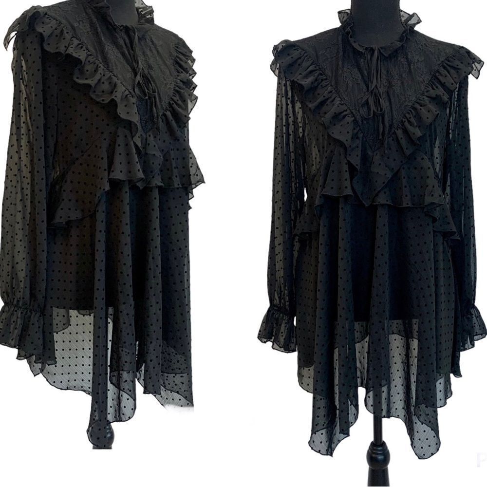 Zara black mesh polka dot ruffle frill sheer lace long sleeve blouse Sz M